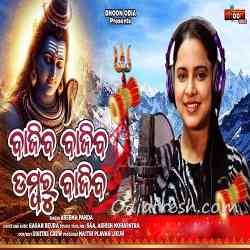 Bajiba Bajiba Dambur Bajiba